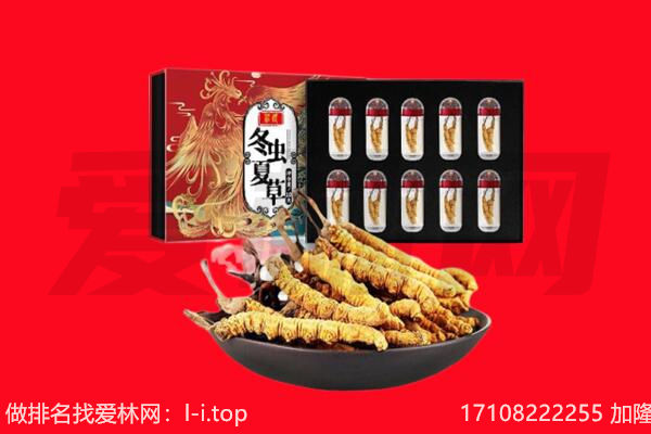 通化辉南县回收虫草.jpg